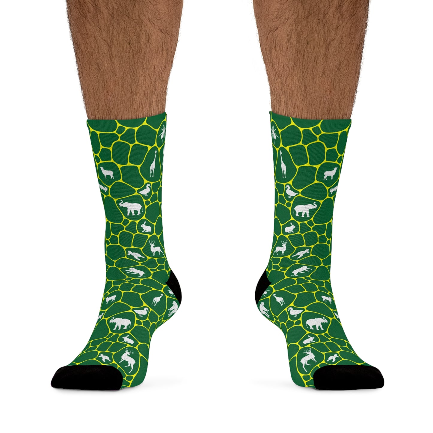 Plant and Animal Kingdoms Socks