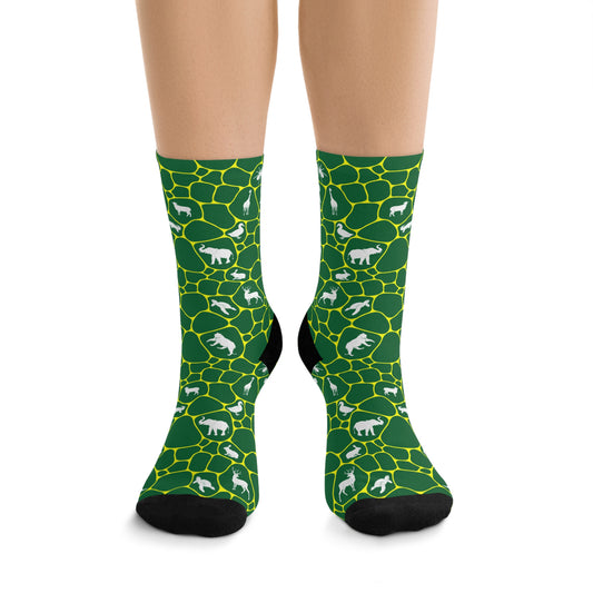 Plant and Animal Kingdoms Socks