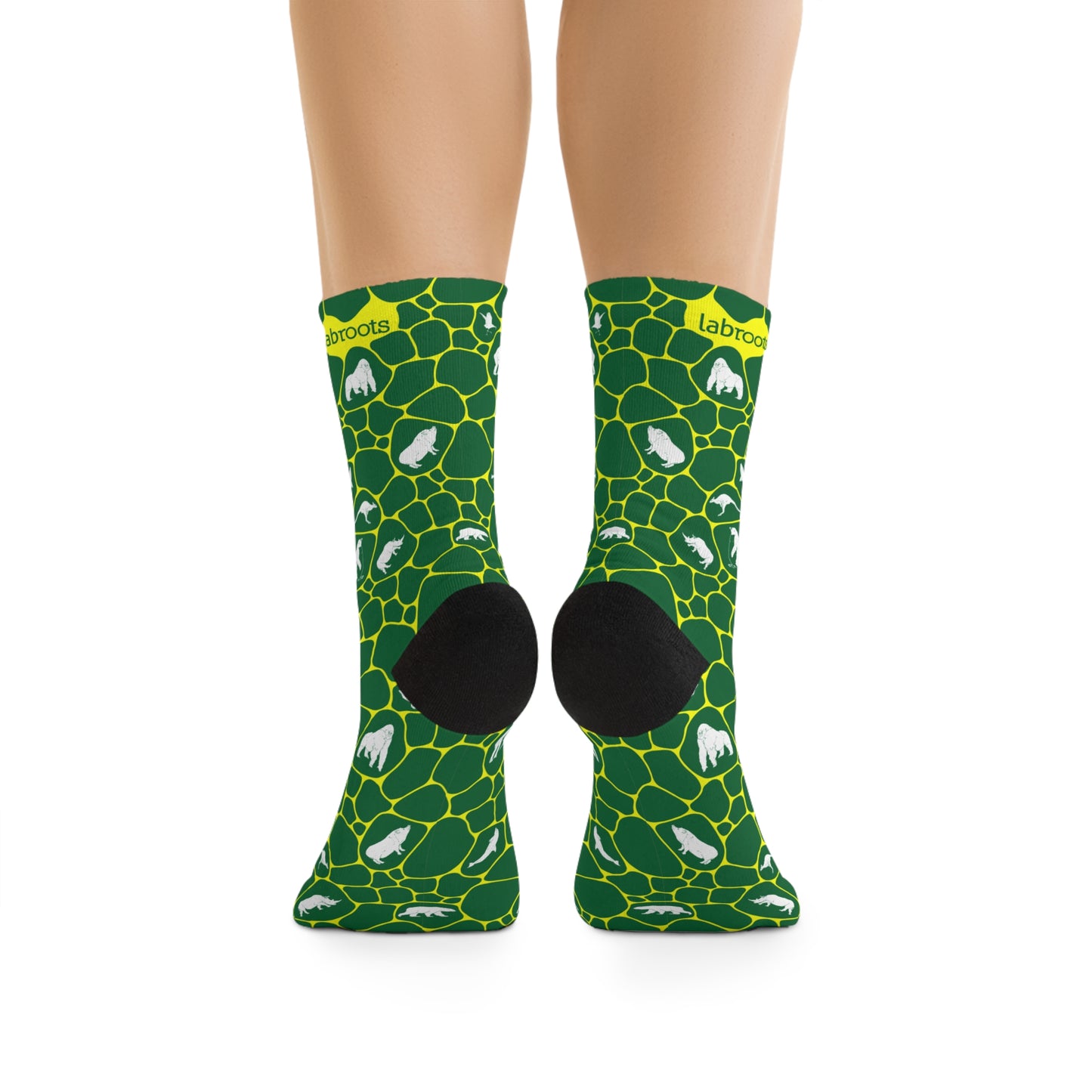 Plant and Animal Kingdoms Socks